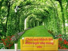 Hình ảnh Bán nhà 5,1m x11,5m ,1 lầu đẹp âu cơ