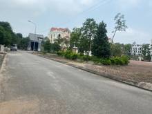 Hình ảnh Bán đất đấu giá 31ha Trâu Quỳ, Gia Lâm khổ biệt thự 247m view vườn hoa