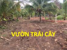 Hình ảnh TIẾC… nhưng đành bán gần 1100m2 SHR gần DT767. GIÁ RẺ