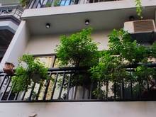 Hình ảnh Bán nhà trần quốc hoàn, phân lô, vỉa hè, ô tô tránh, kd, ở sướng