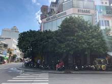 Hình ảnh Cho thuê nhà góc Cô Giang - Nguyễn Khắc Nhu, 7x10m, giá cực tốt