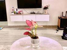 Hình ảnh Cần BÁN Trang Chủ MB66.COM / Đăng Ký Tặng 66K officetel CHÍNH CHỦ - chung cư Wilton Tower - Novaland