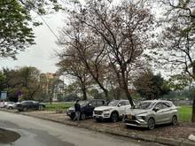 Hình ảnh Bán đất hồ ba mẫu, đống đa 95m2, mt5.7m, ô tô kinh doanh, 18 tỷ