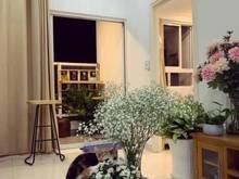 Hình ảnh Chỉ 1 tỷ 380 còn TL CH 4S REVERSIDE tầng cao 70m2