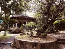Hình ảnh Bán Biệt Thự Sân Vườn Cổ Kiểu Pháp Thành Phố Thủ Đức DT: 1148 M2,