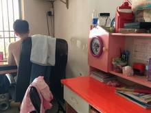 Hình ảnh Siêu phẩm ngộp Bank bán gấp, nhà Phạm Văn Bạch, Nở hậu, Xe hơi tới cửa