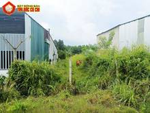 Hình ảnh Bán đất đường Bến Súc - 304m2 - 5x60 - 120m2 thổ cư - xã An Phú - Củ C