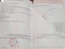 Hình ảnh Bán gần 3 sào Hàm Thuận Bắc. SHR có đường đi. Giá chỉ 250k/m2