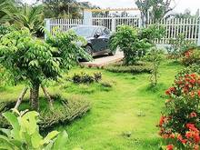 Hình ảnh 1000m2 nhà vườn nghỉ dưỡng ven đô, ao cá, kênh, hoa, chòi 2.5 tỷ