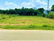 Hình ảnh Vợ Chồng Tôi Bán Gấp 1000m2 Đất Full Thổ, Ngay Chợ, Trường Học 650tr