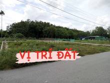 Hình ảnh Bán đất hai mặt tiền đường 2532m2 (600m2 thổ cư), bán đất Củ Chi
