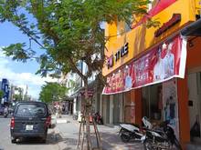 Hình ảnh Bán nhà mặt tiền (5,2m) đường Lê Duẩn, TTTP, kinh doanh, 71m2