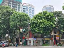 Hình ảnh Chỉ cần phố to làm giàu không khó $$