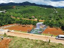 Hình ảnh SIÊU PHẨM Lộc an - Mua ngay giá tốt