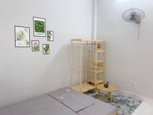 Hình ảnh Penthouse sân thương riêng biệt giảm mạnh