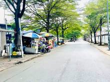 Hình ảnh Bán Lô Đất (5x10)Full Thổ,XDTD,Ko Dính Quy Hoạch Hướng Đại Lộ Đông Tây