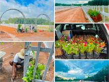 Hình ảnh Đất Dân Chính Chủ Ngay KCN Minh Hưng Chơn Thành Chỉ 1.2Tr