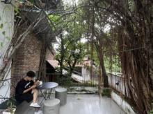 Hình ảnh Cho thuê biệt thự sân vườn 360m2 MT Điện Biên Phủ, Quận 3, vỉa hè 10m
