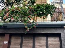 Hình ảnh Bán gấp nhà MT Bùi Tá Hán 4 x22 giá 19 tỷ  1 trệt 3 lầu, bán gấp