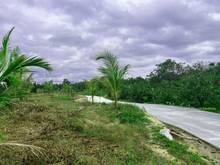 Hình ảnh Bán đất vườn ao , Định Quán , Đồng Nai