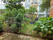 Hình ảnh Bán đất đường Phạm Hữu Lầu Phước Kiển Nhà Bè , full thổ cư . DT : 240m