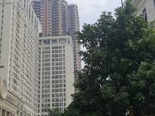 Hình ảnh Chủ hoàn thiện theo khách, shophouse Roman Tố Hữu, Hà Đông, 85mx4 tầng
