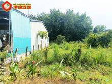 Hình ảnh Bán đất đường Lê Thị Do - 166m2 - 5x33 - 166m2 thổ cư - Củ Chi