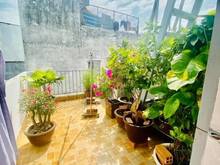 Hình ảnh Cần bán nhà Lý Thái Tổ Q10 chính chủ lâu đời sổ nở hậu tài lộc 3PN