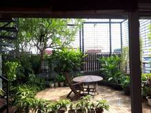 Hình ảnh Cho thuê mặt bằng phố Nguyễn Huy Quang 135m2, MT 10m làm café, đồ uống