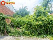 Hình ảnh Bán đất đường Tỉnh Lộ 8 - 311m2 - 8x40 - 174m2 thổ cư - Củ Chi