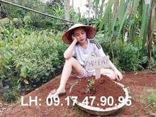 Hình ảnh Bán căn biệt thự siêu phẩm. D/A khu Bách Khoa. P. Phú hữu, Tp. Thủ Đức