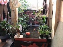 Hình ảnh Mặt tiền Hồ Văn Tư Trường Thọ Thủ Đức chỉ 78 triệu m, 210m, 2T, chỉ 16