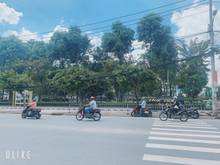 Hình ảnh Nhà 220 Nguyễn Văn Khối, 86m2, ngang 4.5m, ngay CV Làng Hoa, 8.9 tỷ.