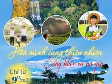 Hình ảnh Bán đất nền biệt thự MT Lý Thái Tổ gần thác ĐamBri Bảo Lộc
