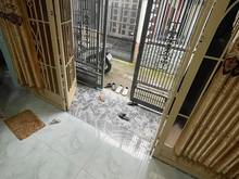 Hình ảnh Nhà 1 sẹt ,không lộ giới, Hiện hữu, sổ vuông như A4. Võ Thị Nhờ Quận 7