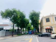 Hình ảnh Sản phẩm vip thật 100%. Bán góc 2 MT Lê Thánh Tôn - Bến Nghé DT 60m2