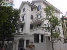 Hình ảnh Biệt Thự Hoàng Đạo Thuý-250m,4 Tầng,mới đẹp