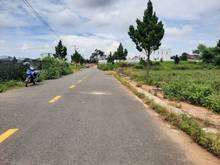 Hình ảnh Bán Đất Khu Hoa Mặt Trời cách QL20 100m