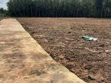 Hình ảnh Đât thổ cư sổ sẵn 200m2 đến 300m2