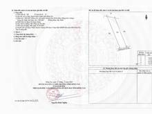 Hình ảnh Cần tiền bán vườn xoài ngay  trung tâm Định Quán, 1000m2, SHR