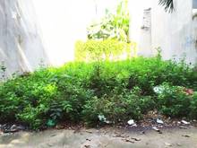 Hình ảnh Bán lô đất hẻm xe hơi 8m Vườn Lài , 6*10 , 4.15 tỷ , sổ hồng