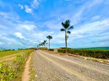 Hình ảnh Bán 1000m2 đất View Hồ Trị An- Đồng Nai