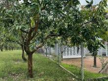 Hình ảnh Bán gấp lô đất mặt tiền Nam Lộ kế bên khu công nghiệp Định Quán