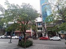 Hình ảnh Siêu phẩm Trang MB66.COM Chính Thức - MB 66 Uy Tín ! Bán nhà mặt tiền  P. Tân Đinh. 4,3x20m.22tỷ