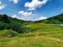 Hình ảnh Bán đất nghỉ dưỡng hơn 7 sào có nhà có hồ chứa nước - bám đường ô tô