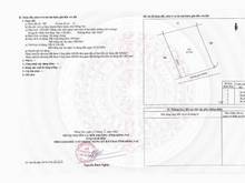 Hình ảnh Kẹt tiền cần bán vườn xoài ngay trung tâm Định Quán, 100m2 thổ cư, SHR