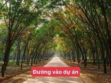 Hình ảnh Kẹt tiền cần bán lô thổ cư 198m2 ngay trung tâm Định Quán. 770tr