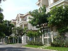 Hình ảnh Bán Biệt thự Mặt tiền đường KDC Tân Quy Đông, Quận 7 (12*24) Hầm 3 Lầu