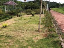 Hình ảnh Đất nền Bảo Lộc sổ sẵn cách trung tâm 3km