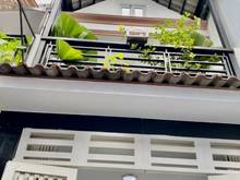 Hình ảnh Nhà Quận 7 nở hậu tài lộc - Chủ cần bán nhanh chuyển nhà to hơn.